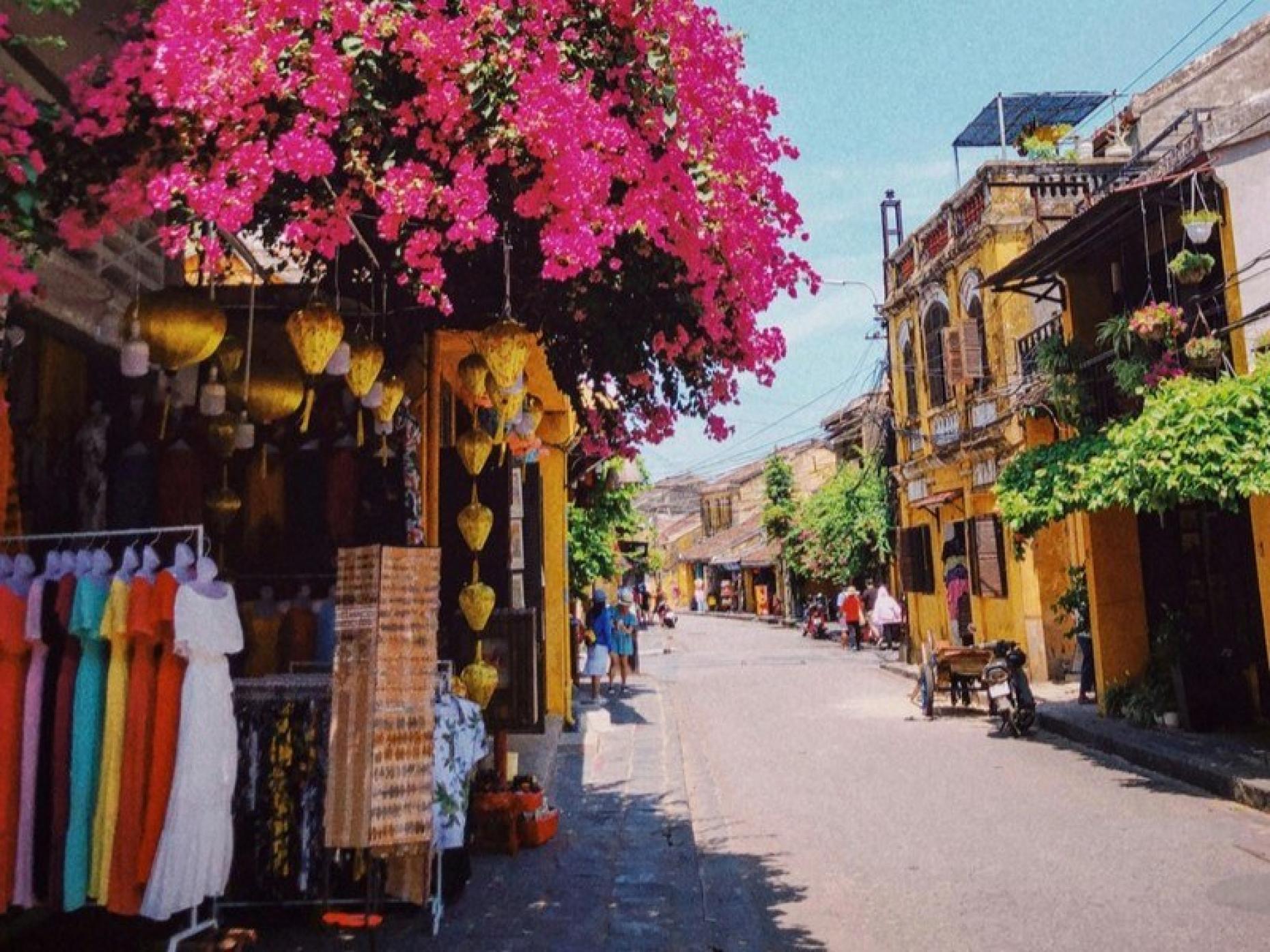 Thuy Uruclk9qe6w Unsplash Crop 728221